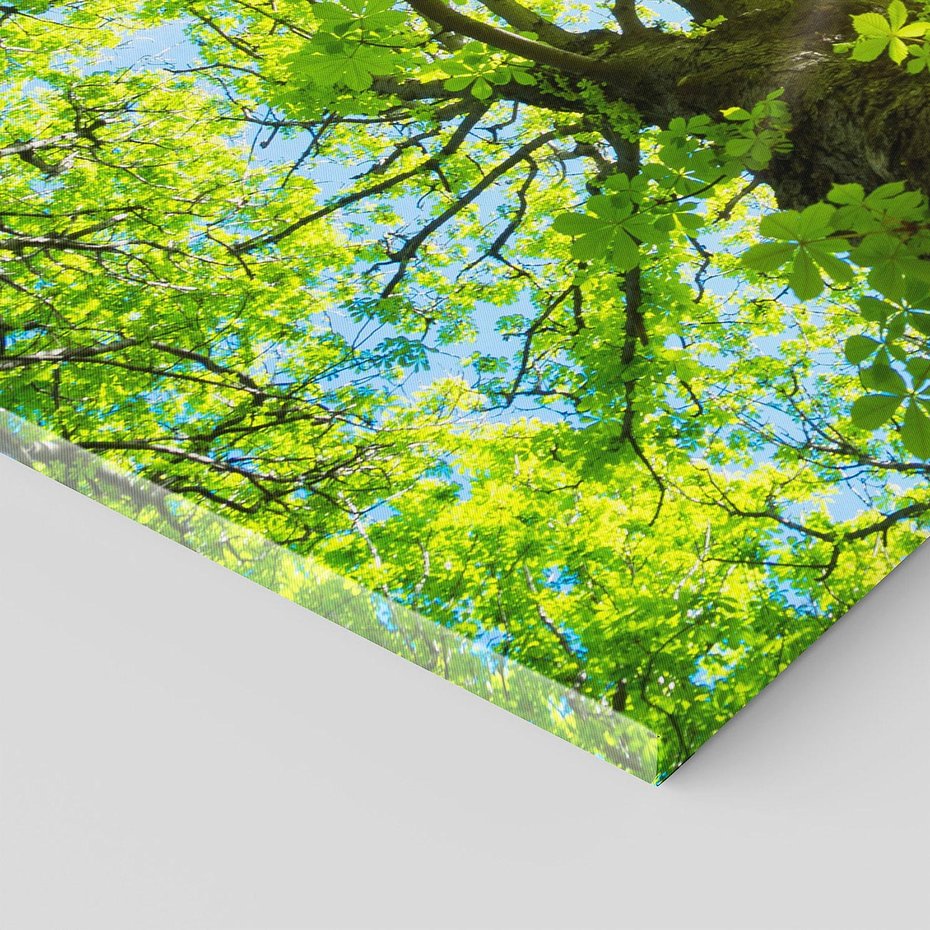 Obraz na płótnie 120x60 - Drzewo pod Słońcem: Łączność z Naturą - drzewo, słońce