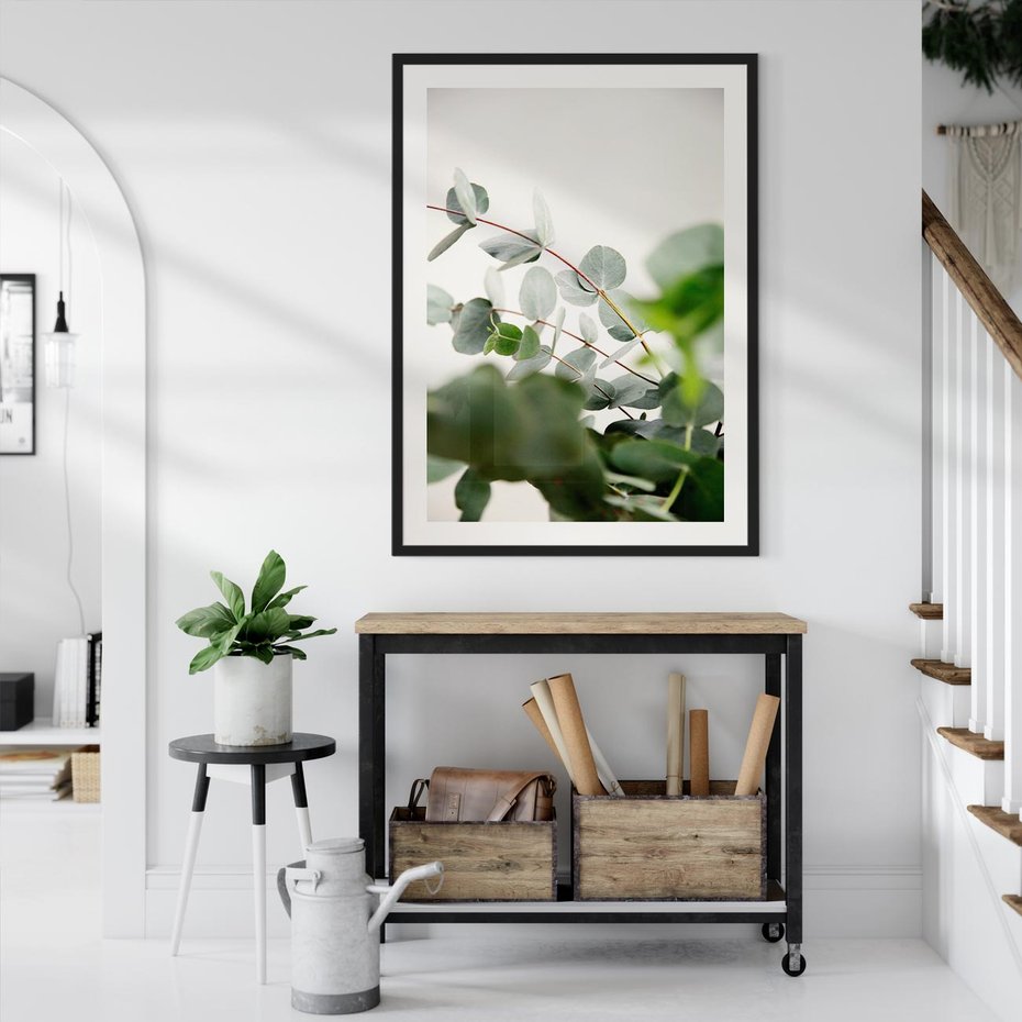 Plakat bez ramy 50x70 - Zielony Świat Eukaliptusa - eukaliptus, fotografia