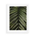 Plakat w ramie 50x70 - W Liściach Ukryte - zdjęcie, fotografia - rama biała