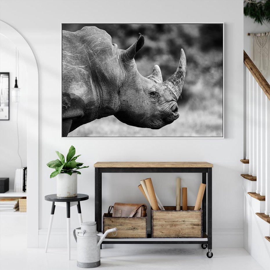 Obraz w ramie 70x50 - Potęga Afryki - czarno biała fotografia, zbliżenie na postać nosorożca - rama biała