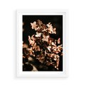 Plakat w ramie 50x70 - Hortensja - Suchy Kwiat w Sztuce - hortensja, suchy kwiat - rama biała