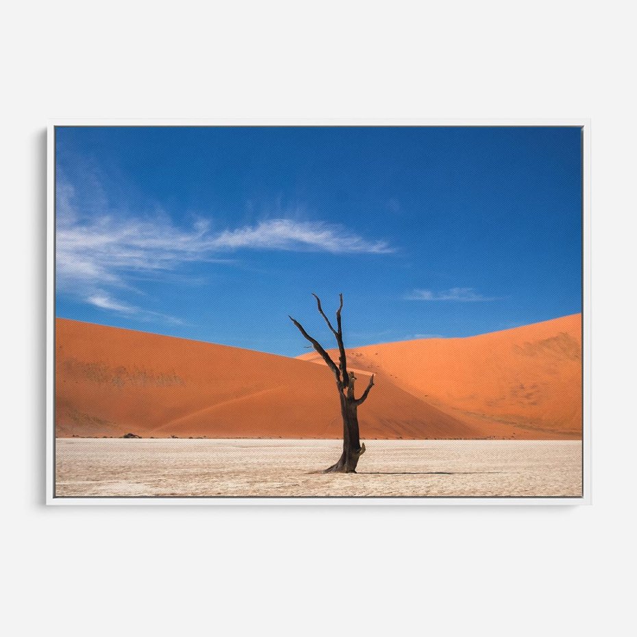 Obraz w ramie 70x50 - Słońce i Suche Drzewo - pustynia, suche - rama biała