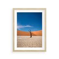 Plakat w ramie 30x40 - Słońce i Suche Drzewo - pustynia, suche - rama drewno