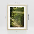 Plakat w ramie 30x40 - harmonia natury - las, drzewa - rama drewno