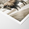 Plakat bez ramy 30x40 - Spotkanie z Żubrem na Leśnej Drodze - żubr, las