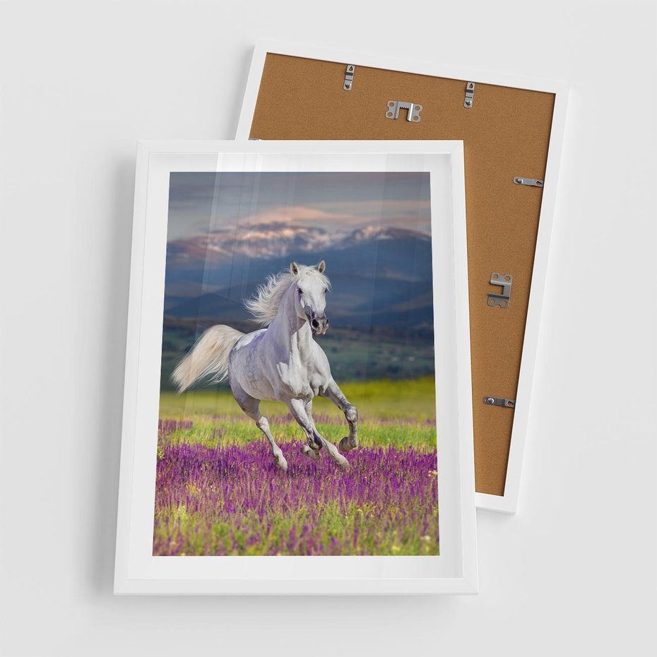 Plakat w ramie 50x70 - Koń Góry: Spotkanie z Wielką Przyrodą - koń, góry - rama biała