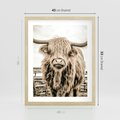 Plakat w ramie 40x50 - Klimat Wiejskiego Życia - amerykańska krowa, byk - rama drewno