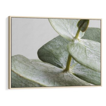 Obraz w ramie 120x80 - Eukaliptusowa zieleń - eukaliptus, zielone - rama drewno