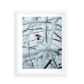 Plakat w ramie 40x50 - Zima w Detalu: Gałęzie ze Szronem i Śniegiem - śnieg, zima - rama biała