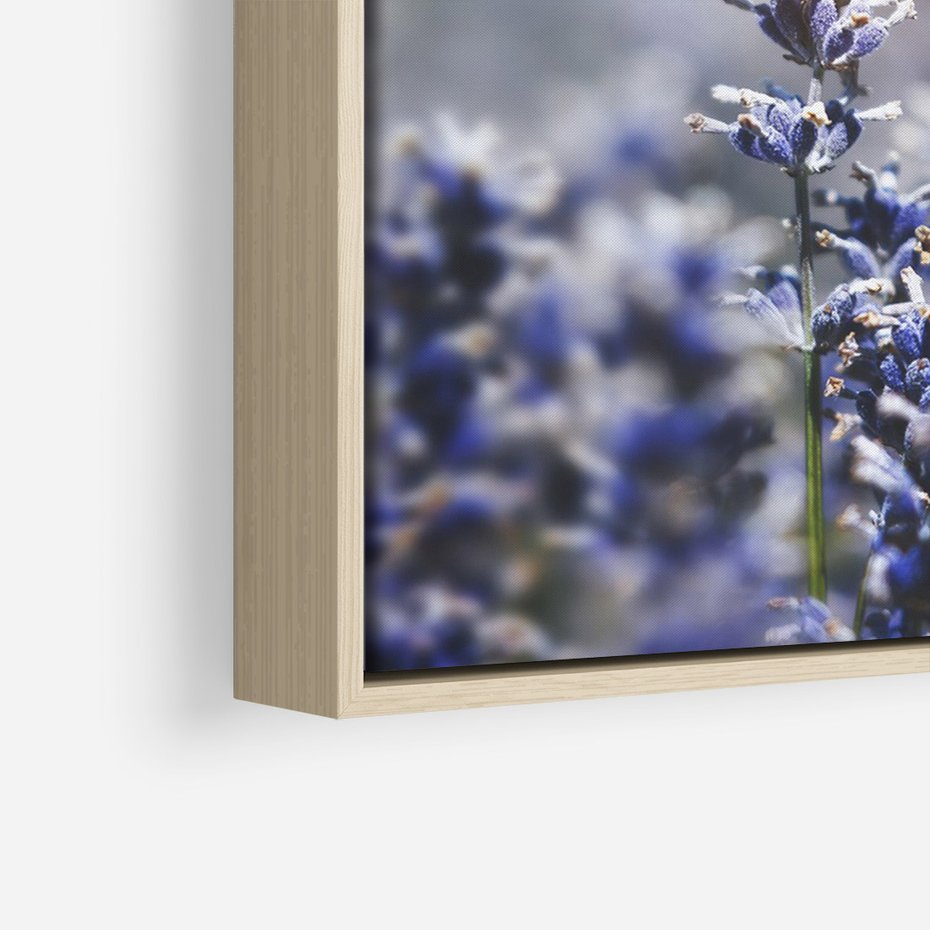 Obraz w ramie 80x120 - Delikatna Uroda Natury - wrzosy, fiolet - rama drewno
