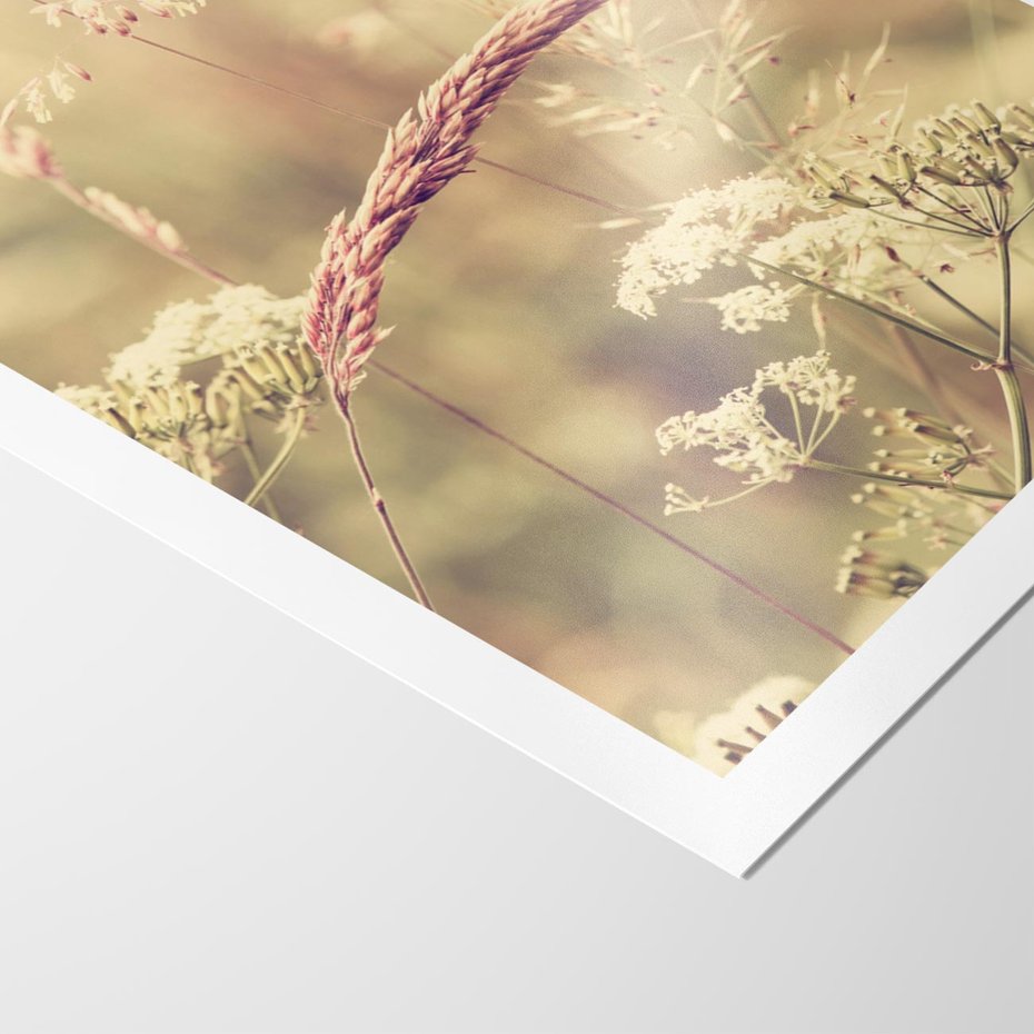 Plakat bez ramy 40x50 - Boho Wizja - suszone, trawy