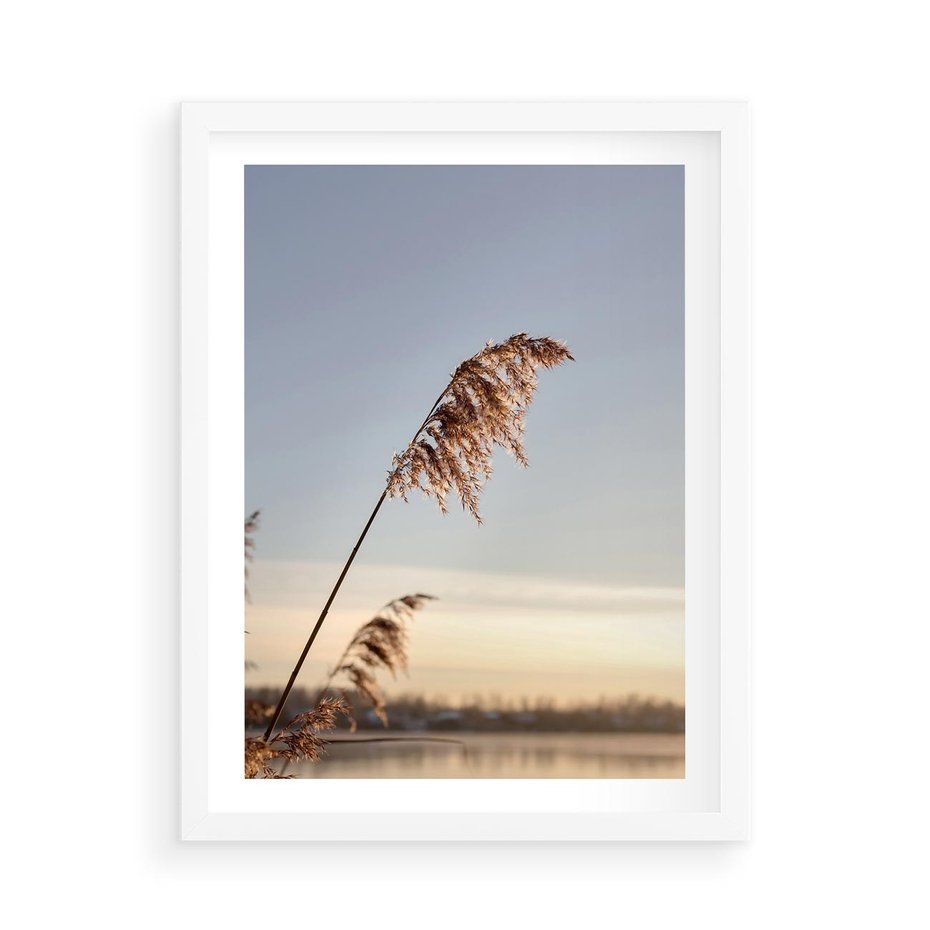 Plakat w ramie 50x70 - Naturalna Delikatność - trawy, boho - rama biała