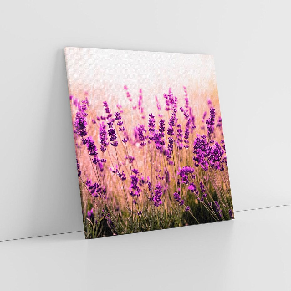 Obraz na płótnie 60x60 - Lawenda: Pachnące pole kwiatów - kwiaty, lawenda