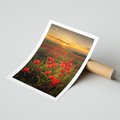 Plakat bez ramy 30x40 - Maki przy zachodzie słońca - maki, zachód