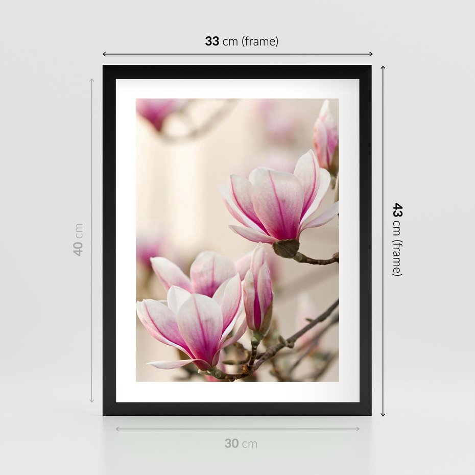 Plakat w ramie 30x40 - Urok Magnolii - magnolie, kwiaty - rama czarna