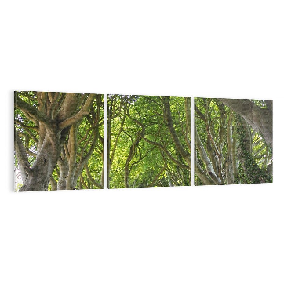 Obraz na płótnie 120x40 - Magiczny Las - drzewa, las