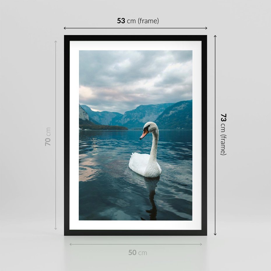 Plakat w ramie 50x70 - Łabędzi Śpiew - fotografia, plakat - rama czarna