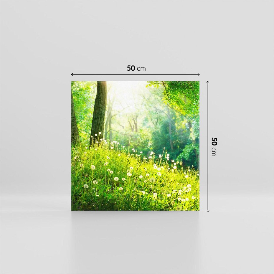 Obraz na płótnie 50x50 - Urok natury - magiczny las na płótnie - las, trawa