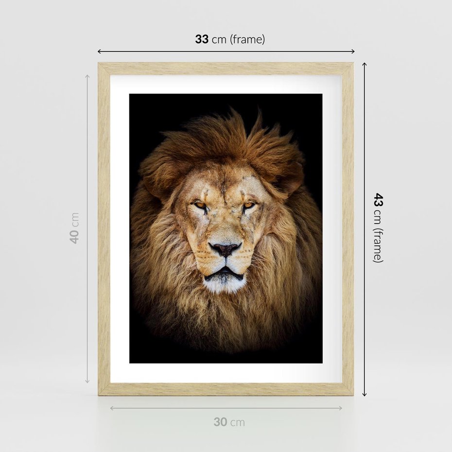 Plakat w ramie 30x40 - Król zwierząt w majestatycznym stylu - lew, król - rama drewno