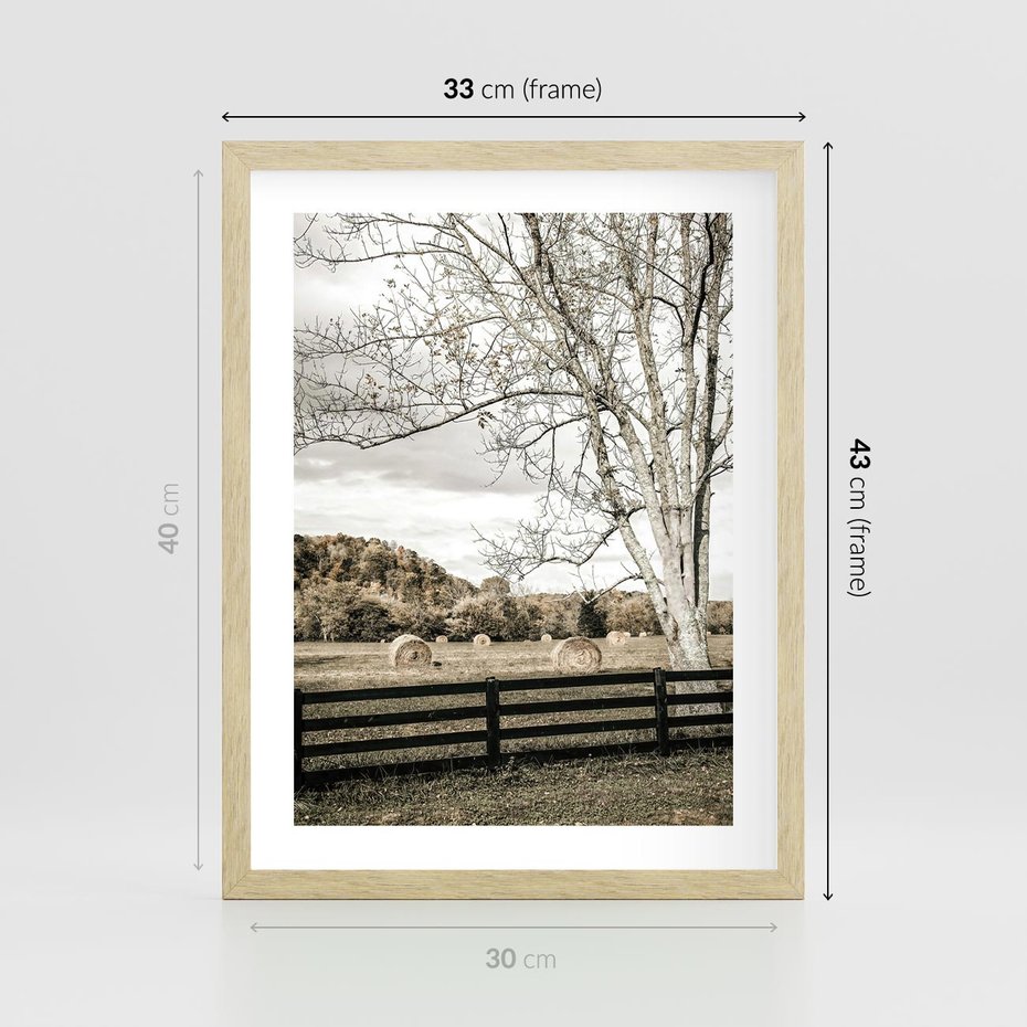 Plakat w ramie 30x40 - Drzewa i Snopki Siana - farma, drzewa - rama drewno