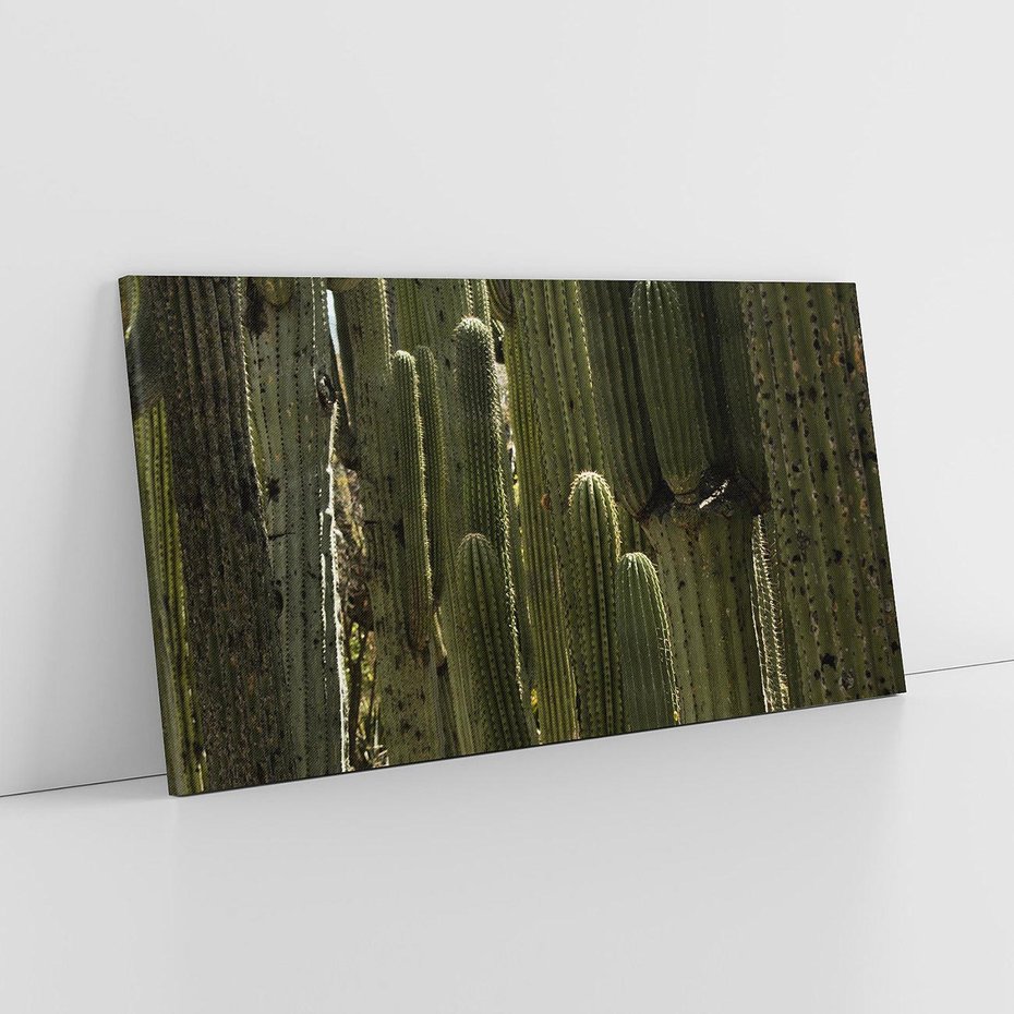 Obraz na płótnie 120x60 - Wyjątkowy Klimat Boho - kaktusy, pustynia