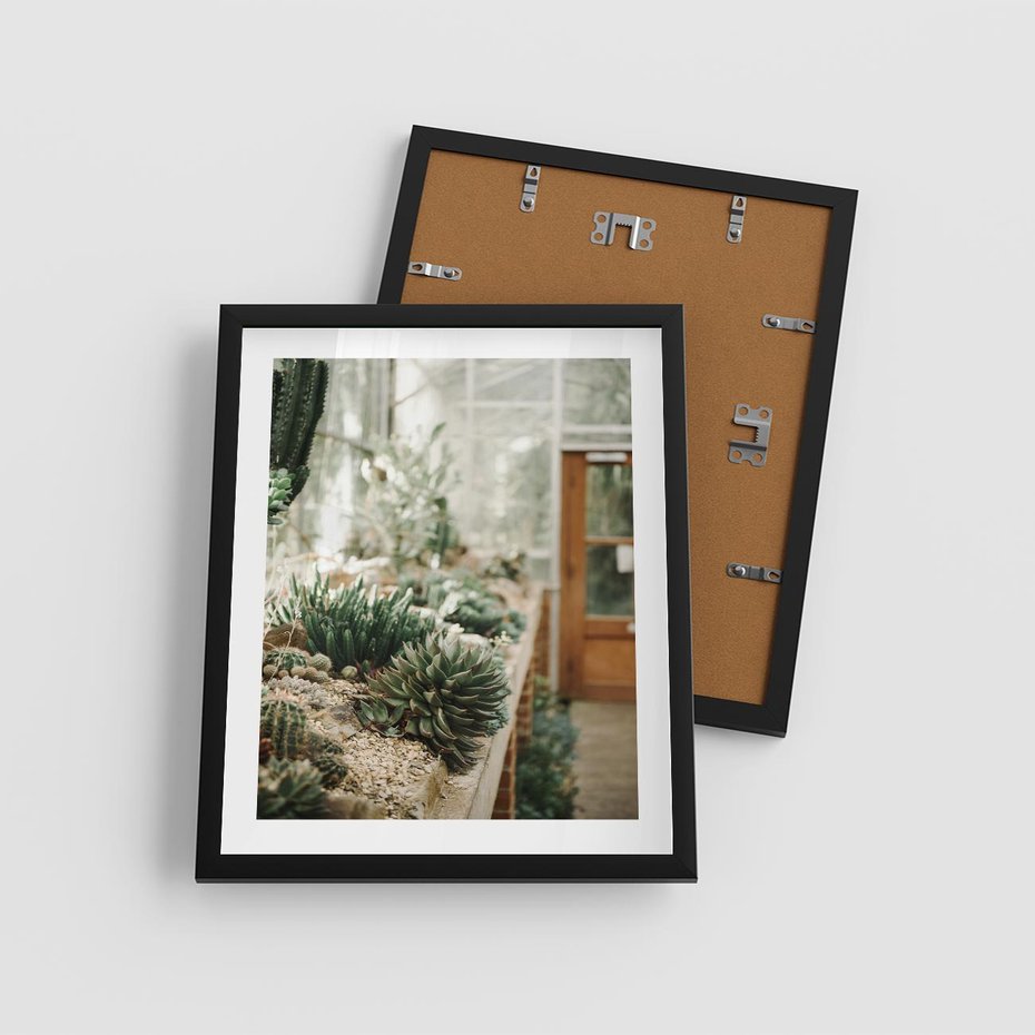 Plakat w ramie 40x50 - Sukulenty w Szklarni - sukulenty, w szklarni - rama czarna