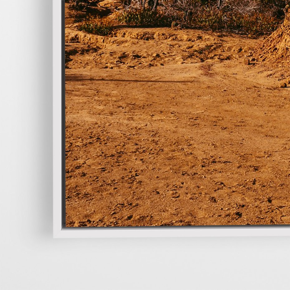 Obraz w ramie 50x70 - Skarby Pustynnego Kanionu - pustynia, kaktusy - rama biała