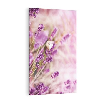Obraz na płótnie 80x120 - Majestat lawendy: fioletowe pola - lawenda, fiolet