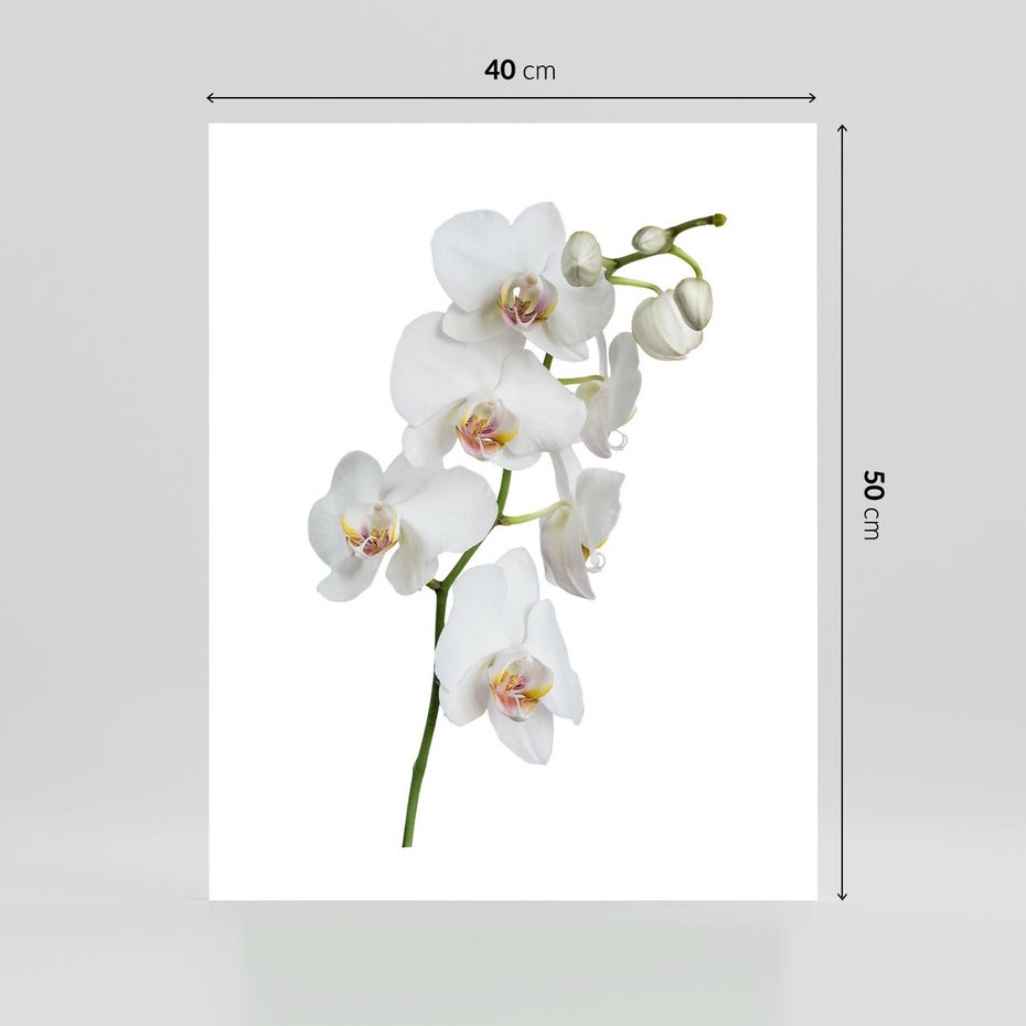 Plakat bez ramy 40x50 - Ekskluzywny Relaks - storczyk, spa