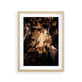 Plakat w ramie 30x40 - Uroczy Liść na Drzewie - jesienny liść, żółty liść na drzewie - rama drewno