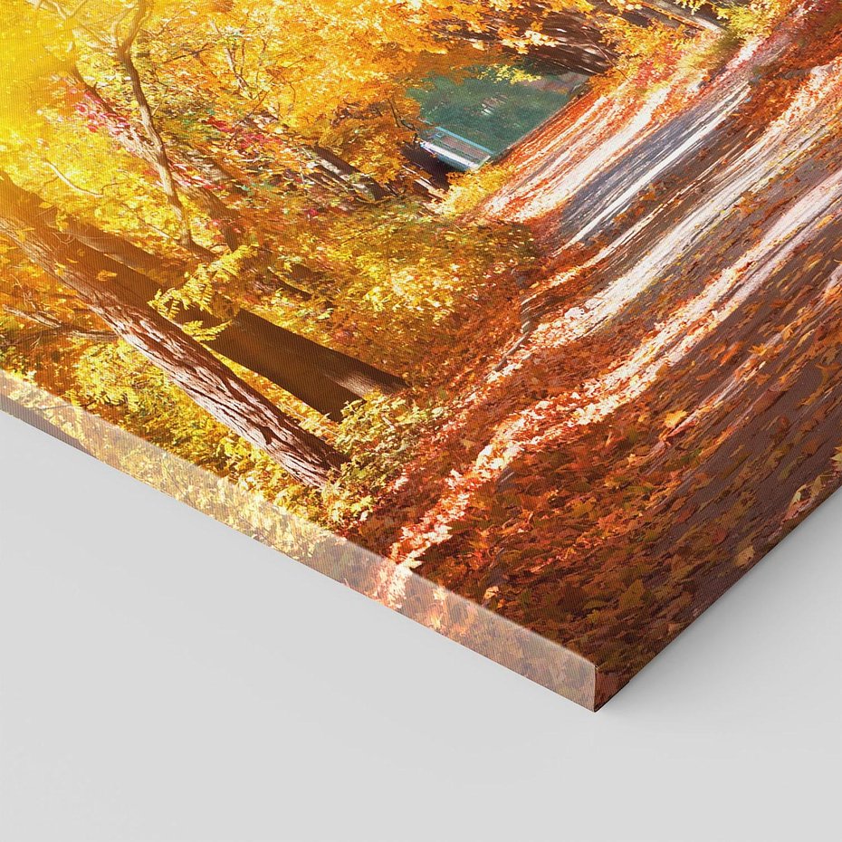 Obraz na płótnie 80x80 - Jesienna Droga: Przechadzka wśród Drzew - jesień, droga