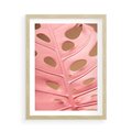 Plakat w ramie 50x70 - Różowa monstera w pełnym rozkwicie - różowa, monstera - rama drewno