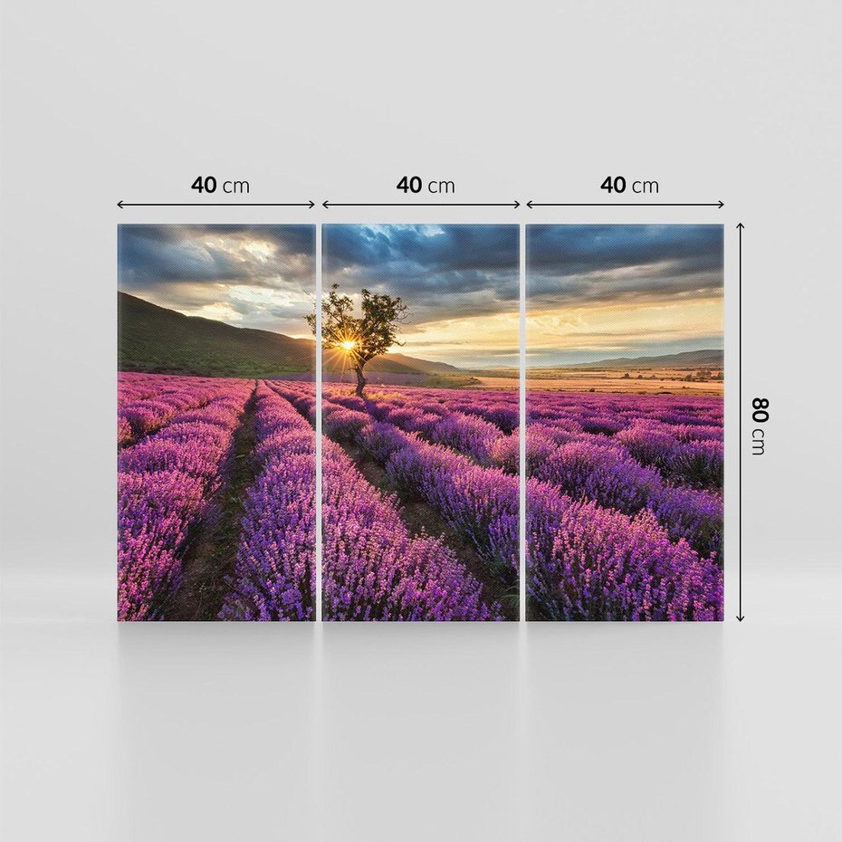 Obraz na płótnie 120x80 - Lawenda: Pachnący ogród natury - lawenda, kwiaty