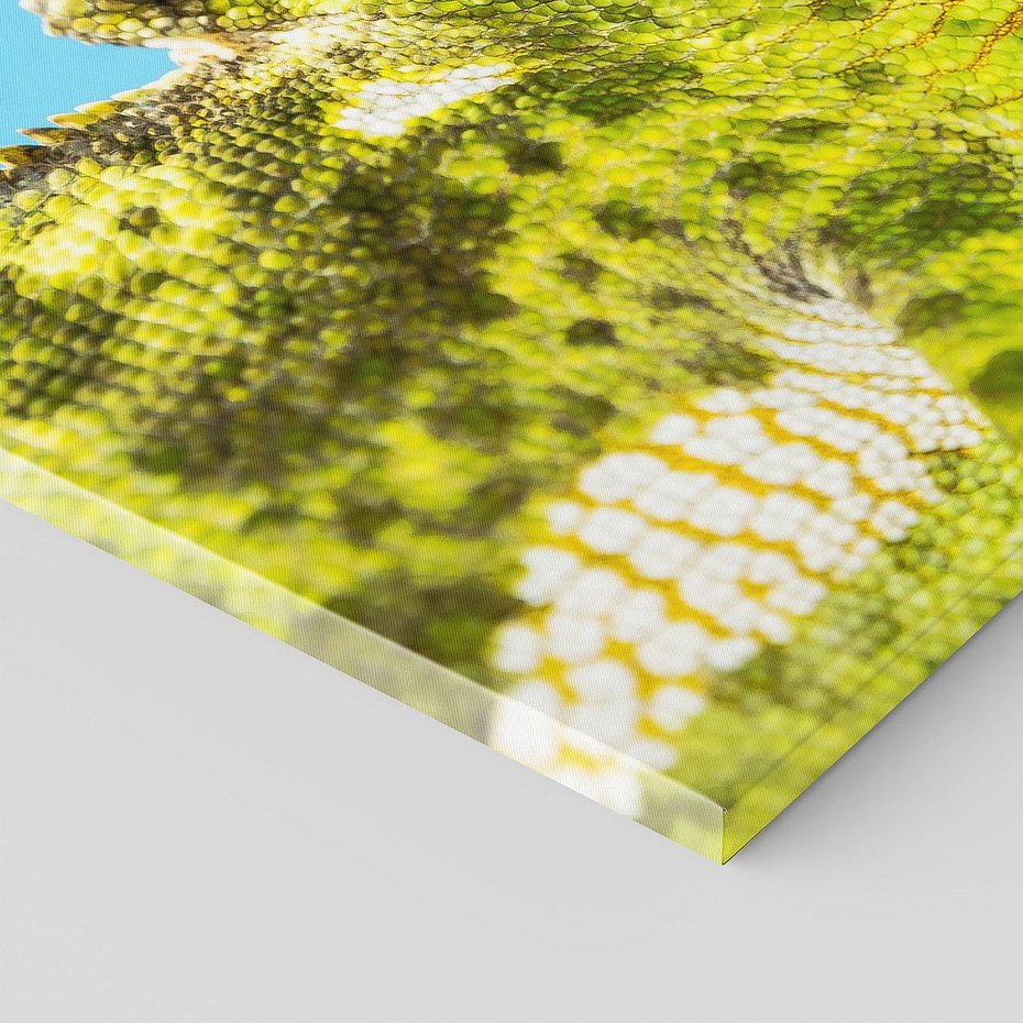 Obraz na płótnie 100x70 - Kameleon w swoim świecie - kameleon, jaszczurka