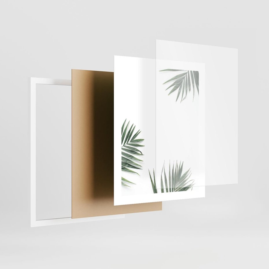Plakat w ramie 40x50 - Liście Palmy na Czystym Tle - liście palmy, białe tło - rama biała