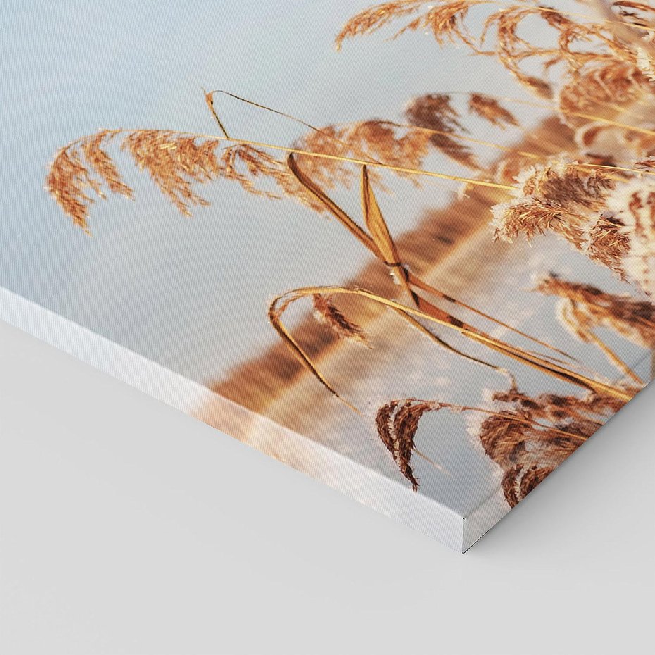 Obraz na płótnie 60x60 - Wyraz Stylu - trawy, boho