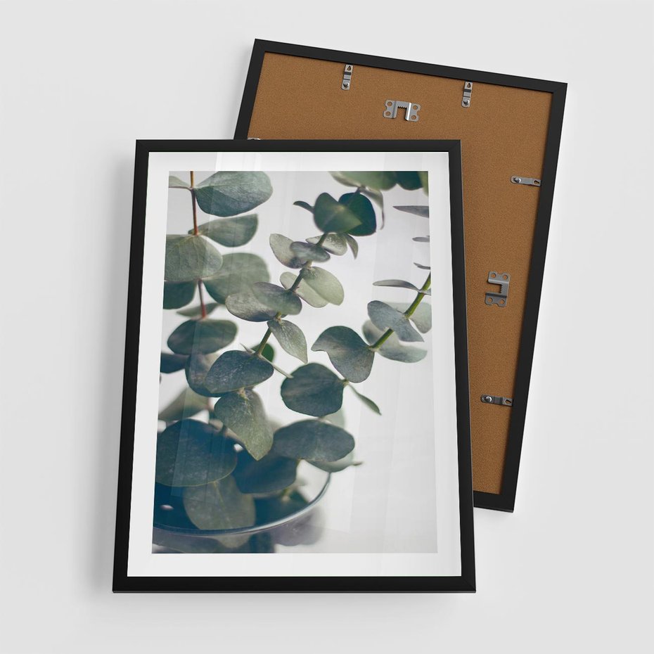 Plakat w ramie 50x70 - ukaliptusowa Harmonia - liście eukaliptusa - rama czarna