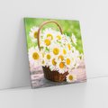 Obraz na płótnie 30x30 - Koszyk pełen kwiatów - koszyk, kwiaty