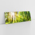 Obraz na płótnie 120x40 - Magia Leśnej Przyrody - las, drzewa
