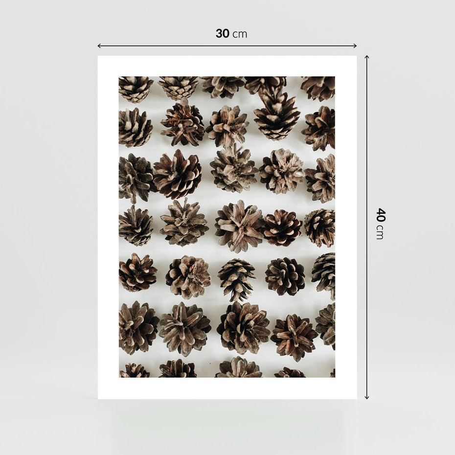 Plakat bez ramy 30x40 - Jesienna Tekstura - kompozycja z suchych szyszek, jesienne szyszki