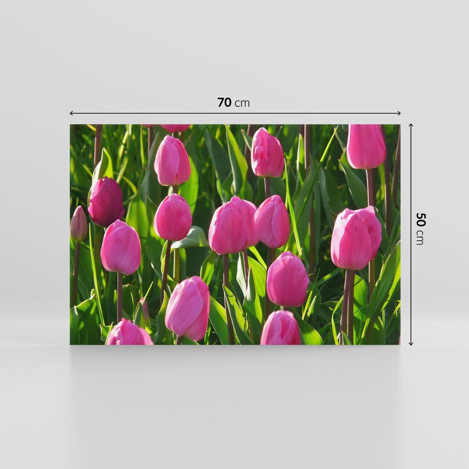 Obraz na płótnie 70x50 - Tulipanowa harmonia - tulipany, kwiaty