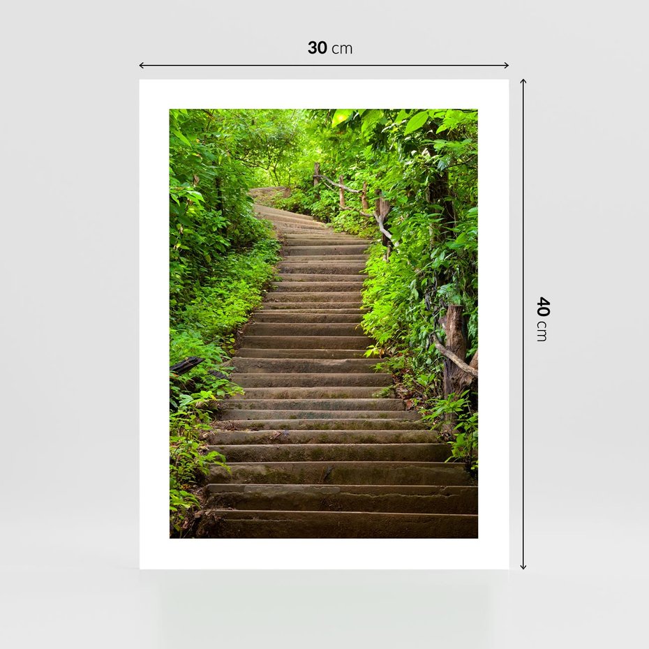 Plakat bez ramy 30x40 - Magia Leśnej Ścieżki - ścieżka, w lesie