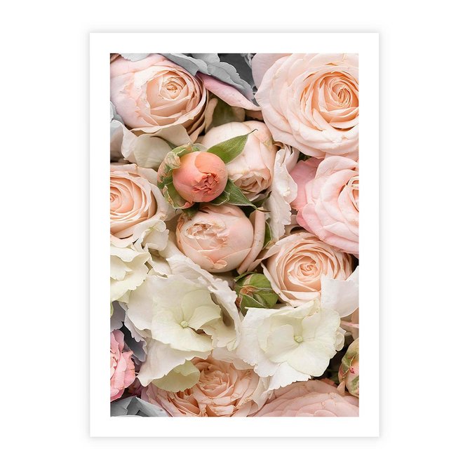 Plakat bez ramy 21x30 - Kwiatowy Rarytas: Róże w Herbacianym Zbliżeniu - kwiaty, herbaciane