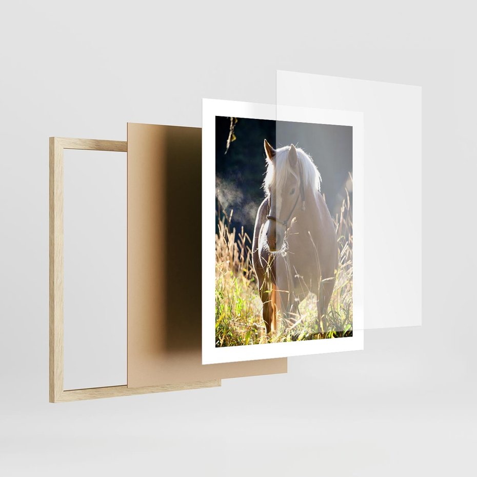 Plakat w ramie 40x50 - Spotkanie konia na łące - koń, łąka - rama drewno
