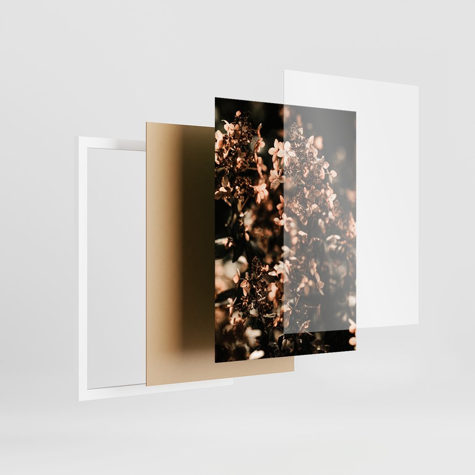 Zestaw obrazy w ramie 40x50 galeria - Hortensja, kwiaty, suche, cytat - rama biała