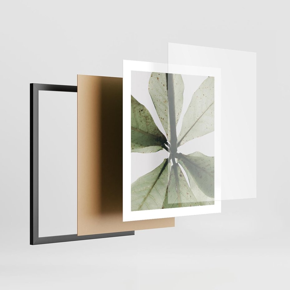Plakat w ramie 40x50 - Jasna Zieleń w Makro - makro zdjęcie liści, jasna zieleń - rama czarna