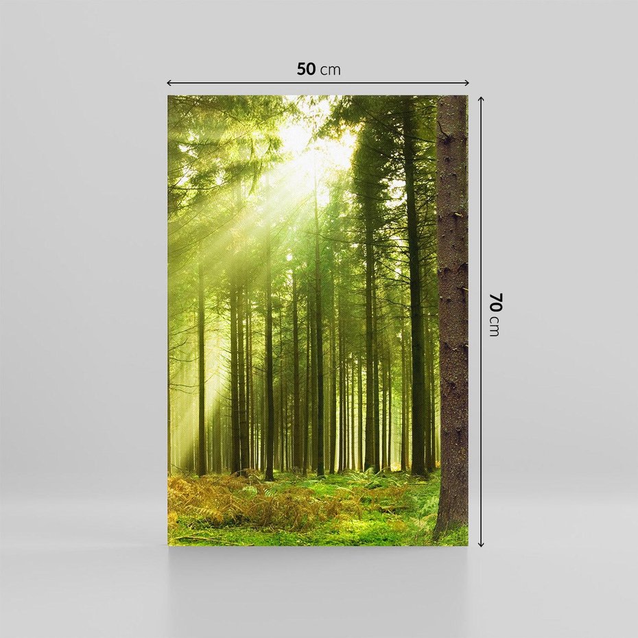 Obraz na płótnie 50x70 - Spokój wśród drzew: las w odcieniach zieleni - las, drzewa