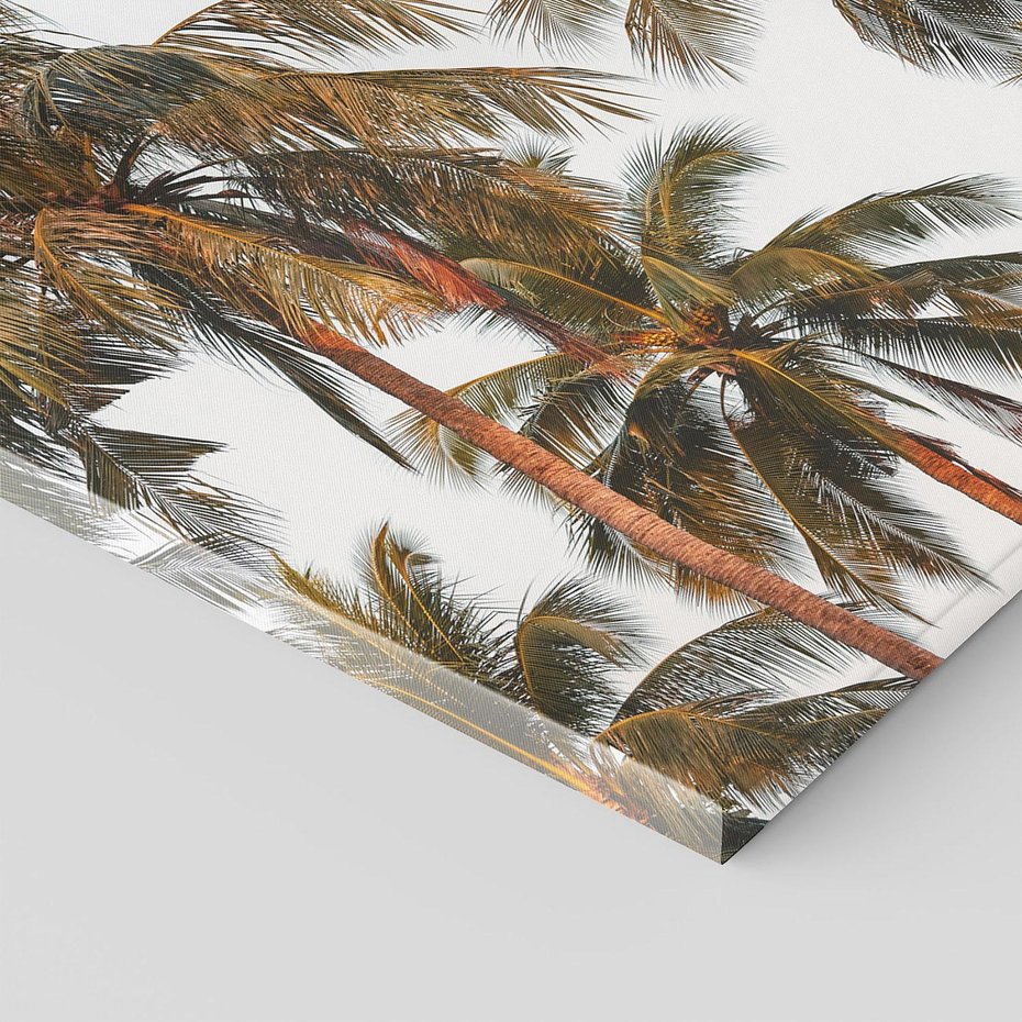 Obraz na płótnie 80x120 - Palmy - tęsknota za Hawajami - palmy, Hawaje