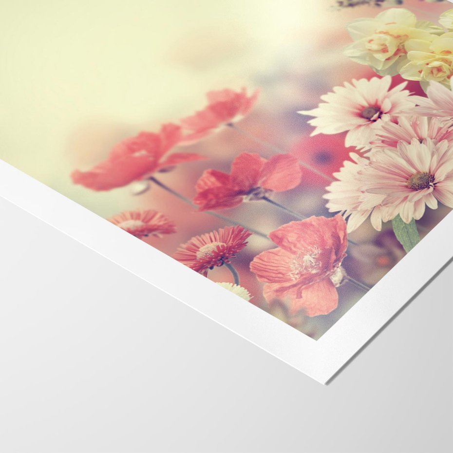 Plakat bez ramy 40x50 - Delikatne kwiaty pastelowe - kwiaty, pastelowe