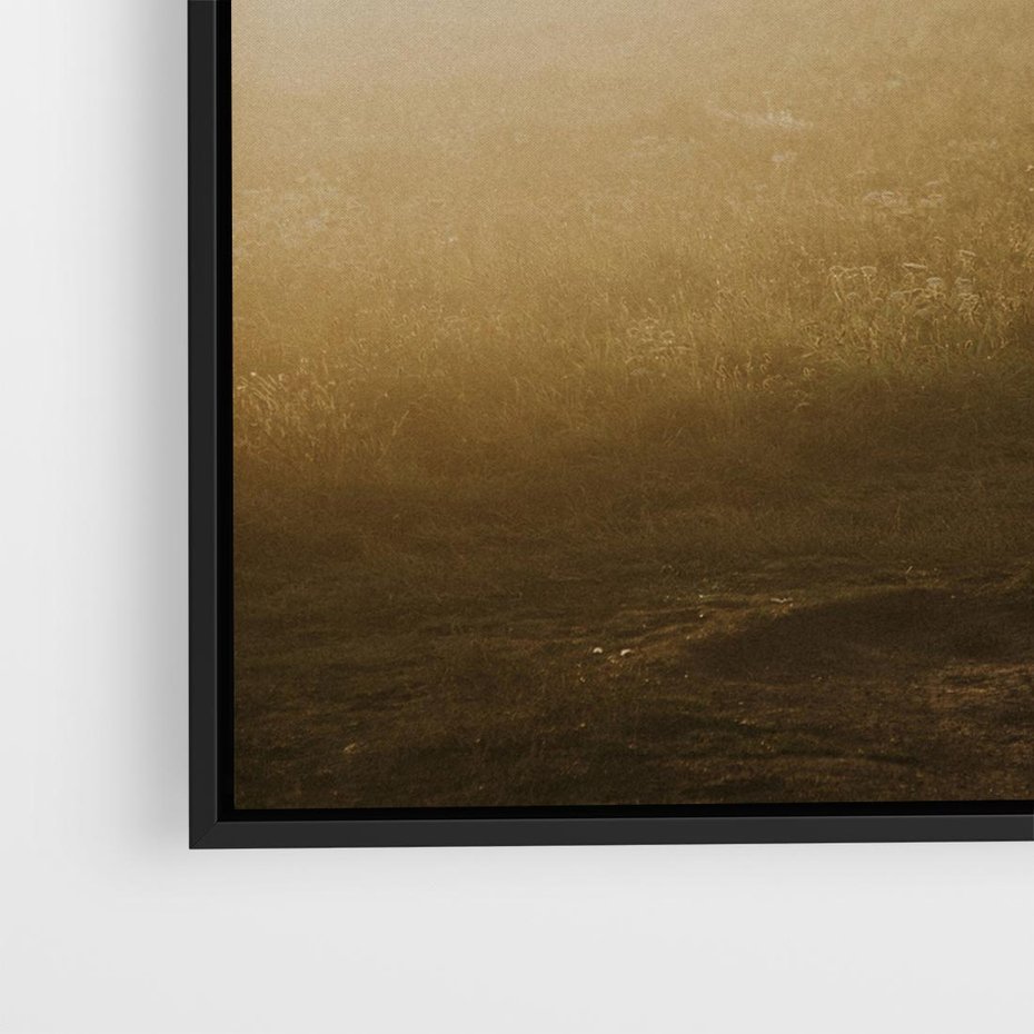 Obraz w ramie 50x50 - Mglisty zachód słońca na ławeczce - mgła, zachód - rama czarna